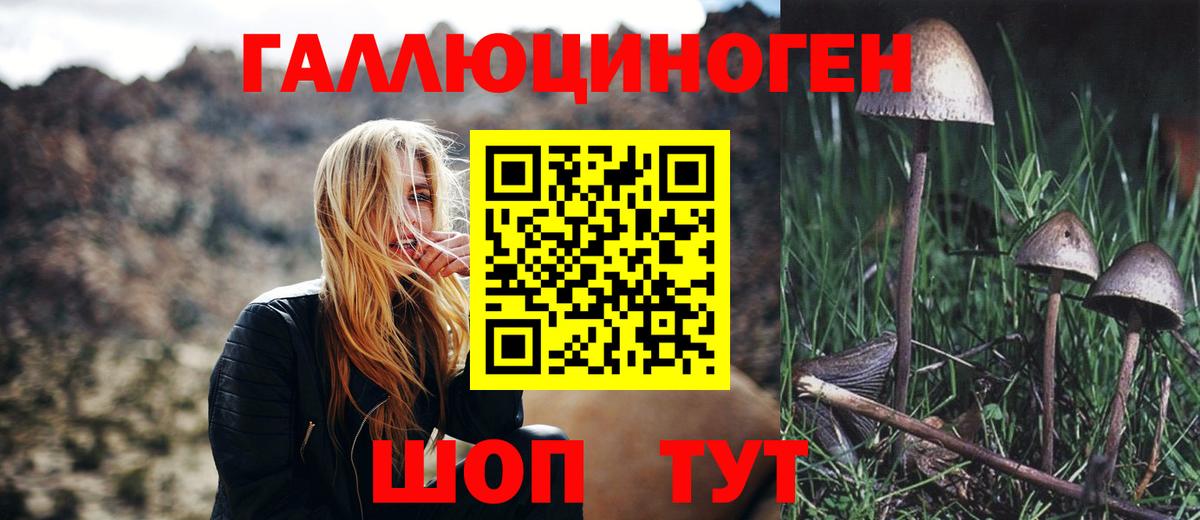 Псилоцибиновые грибы Psilocybine cubensis  Вход с VPN  Югорск  магазин  наркотиков  Галлюциногенные грибы Psilocybe 